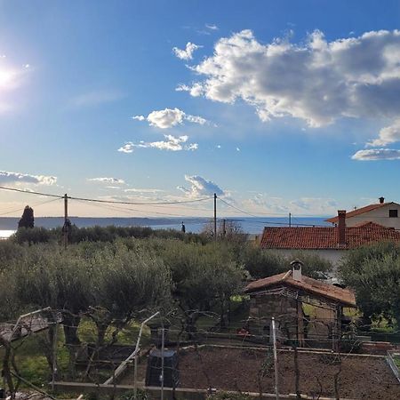 Apartma Isabella Sečovlje Zewnętrze zdjęcie